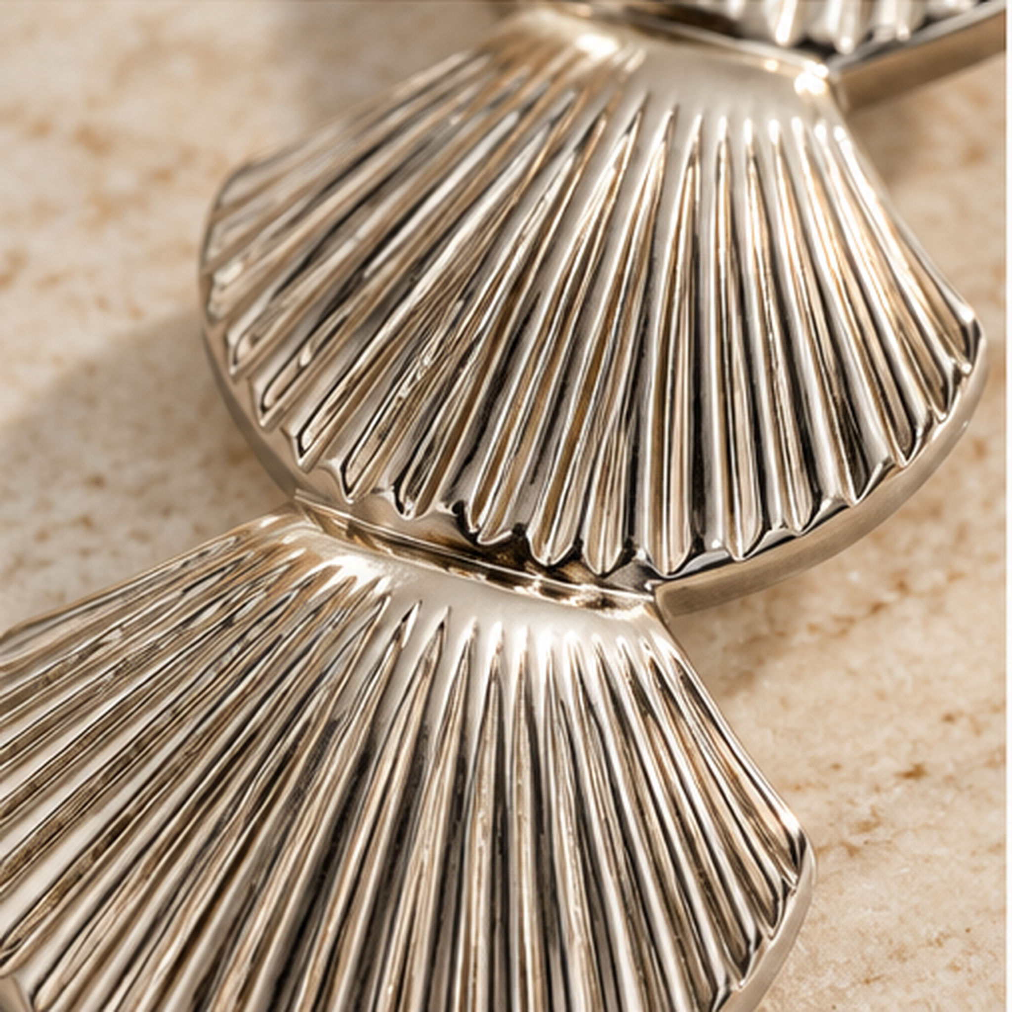 Phantom - Seashell Bottle Opener