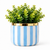 Phantom - Seaside Stripes Faux Greenery Planter