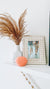 Vagabond Goods - The Island Time Shell Candle (Add-On)
