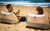 BeachBack - Coral BeachBack