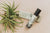 Broken Top Brands - Coconut Sandalwood Roll-On Perfume (Add-On)