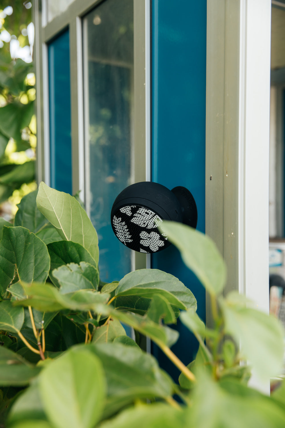 Speaqua - Vibe 2.0 Aloha Collection Limited Edition (Add-On)