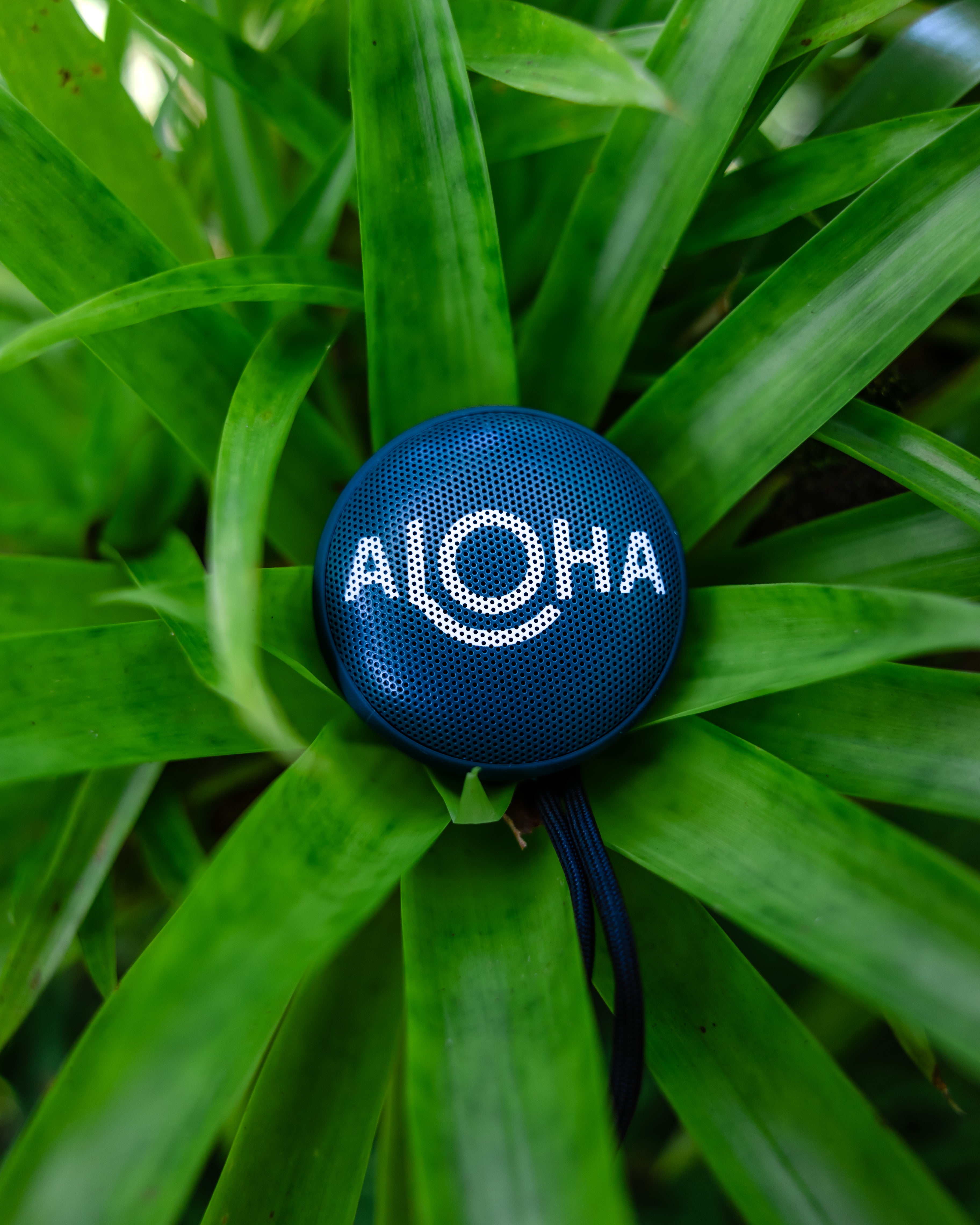 Speaqua - Cruiser H2.0 Aloha Collection Limited Edition (Add-On)