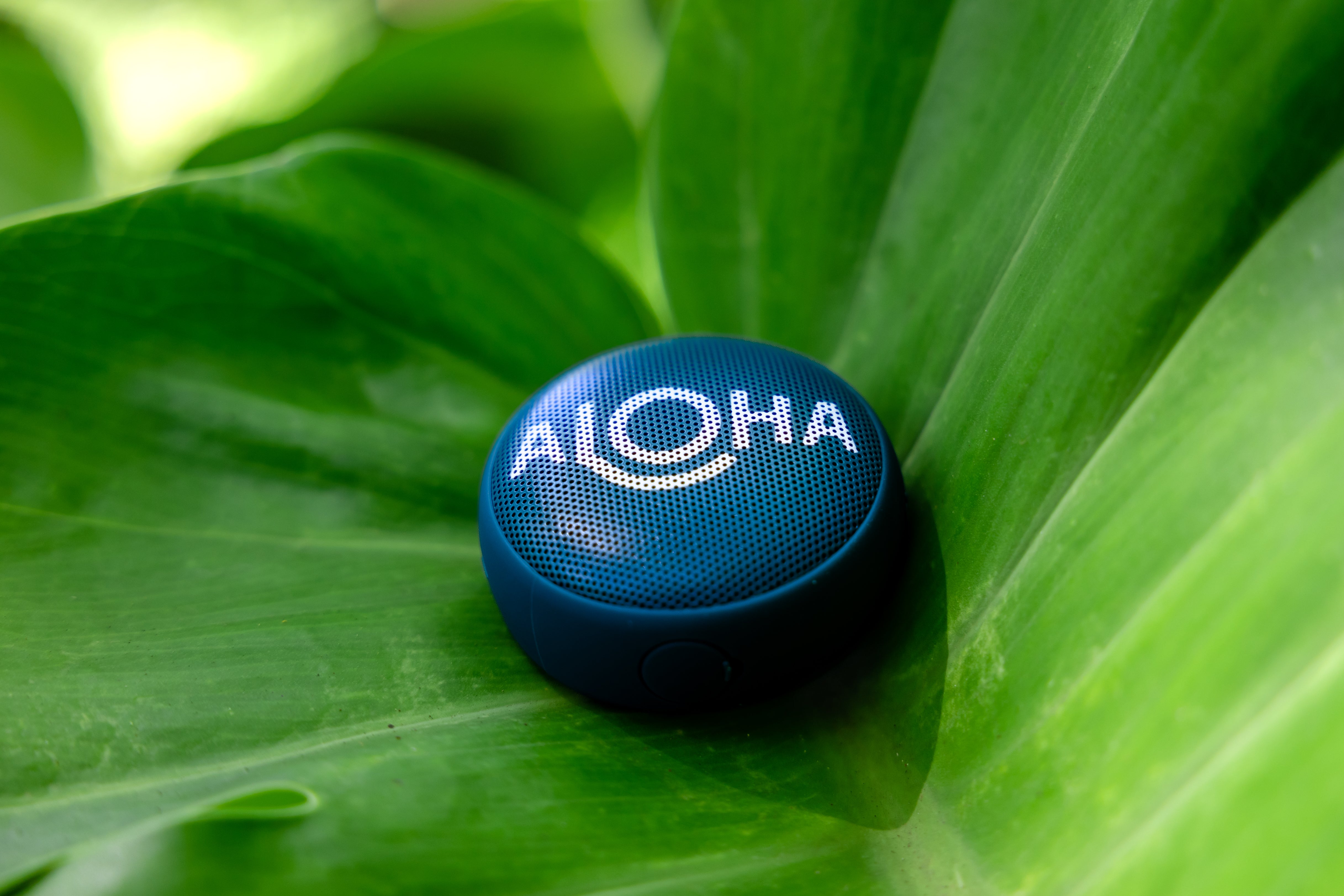 Speaqua - Cruiser H2.0 Aloha Collection Limited Edition (Add-On)