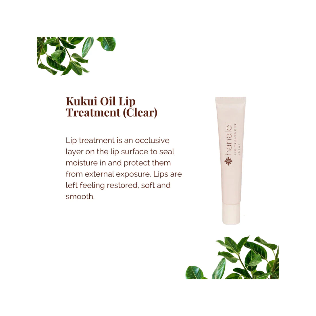 Hanalei - Kukui Oil Lip Treatment - Clear (Add-On)
