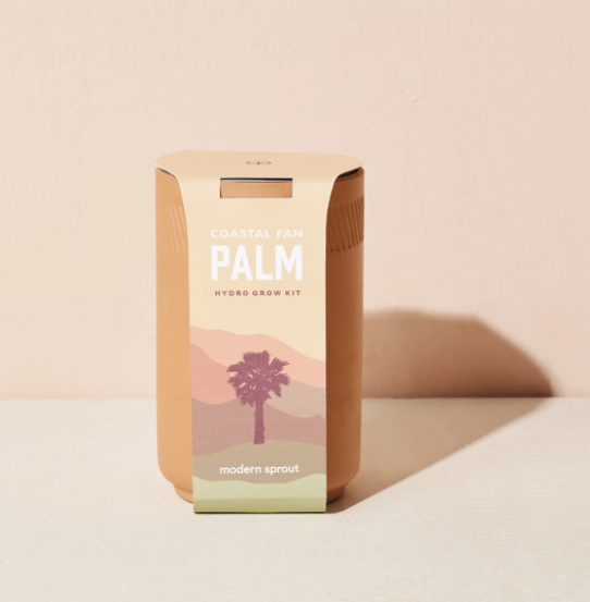 Modern Sprout - Terracotta Mini Palm (Add-On)
